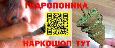 твердый Лесосибирск