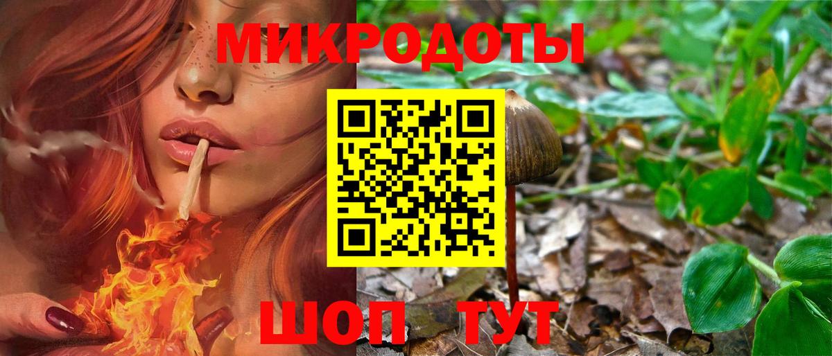 купить   Псилоцибиновые грибы MAGIC MUSHROOMS  Ярославль  Вход с VPN  Галлюциногенные грибы Magic Shrooms 